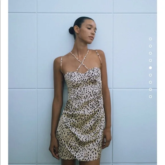 Zara | Dresses | Zara Animal Print Dress Bloggers Fav | Poshmark